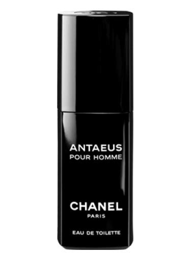 antaeus perfume.